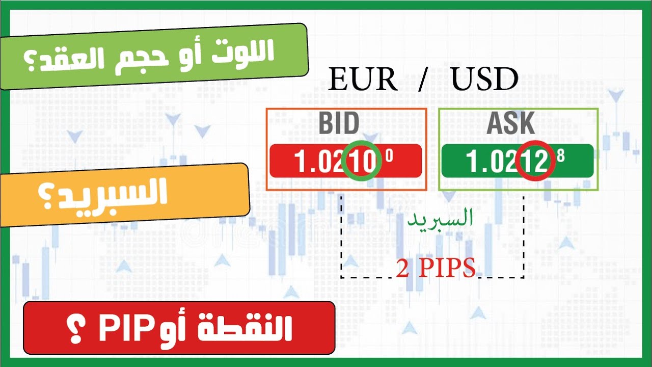 الدرس السابع || ما هو اللوت في الفوركس؟ تعريف النقطة والسبريد وكيفية حساب قيمتهما