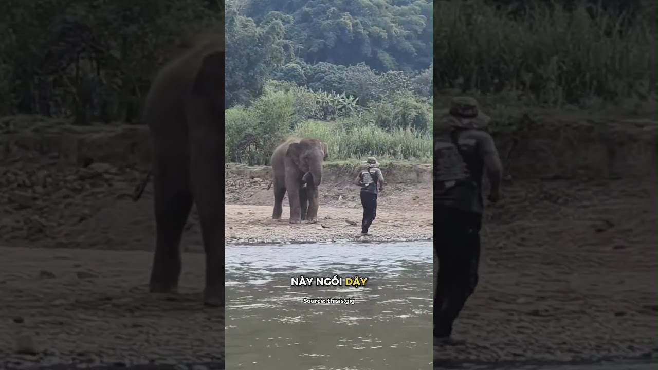&Ocirc;ng l&atilde;o đ&aacute;nh c&aacute;