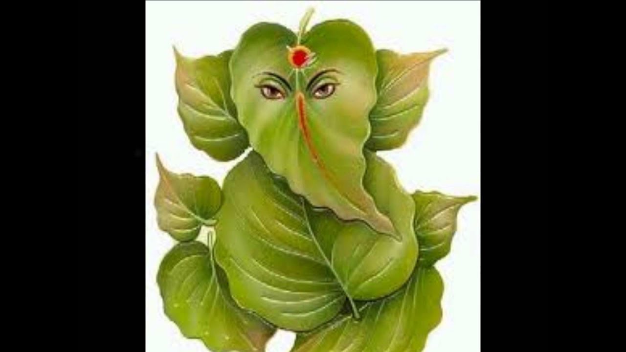 jaya jaya swamin MG Sreekumar