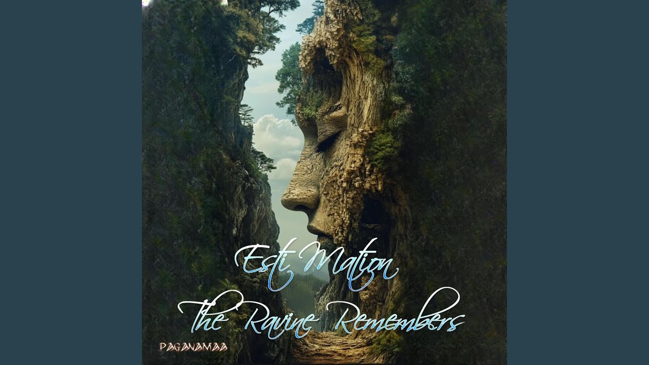 Silent Watcher