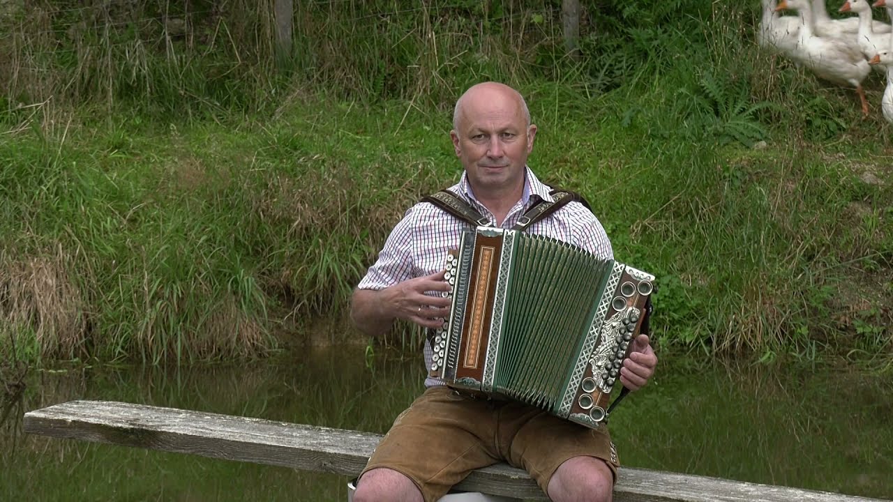 Hermann Pammer - Treibt die Gänse raus