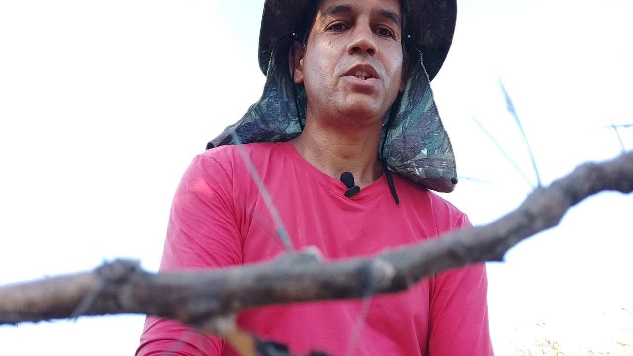 Bioma Caatinga Rica Em Biodiversidade