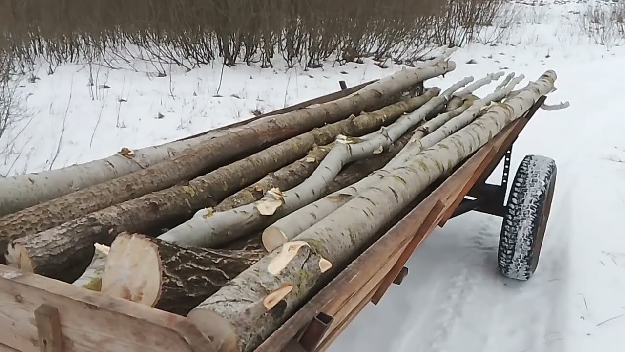 Заготівля дров ланцюговою пилкою Pro-craft 42Li