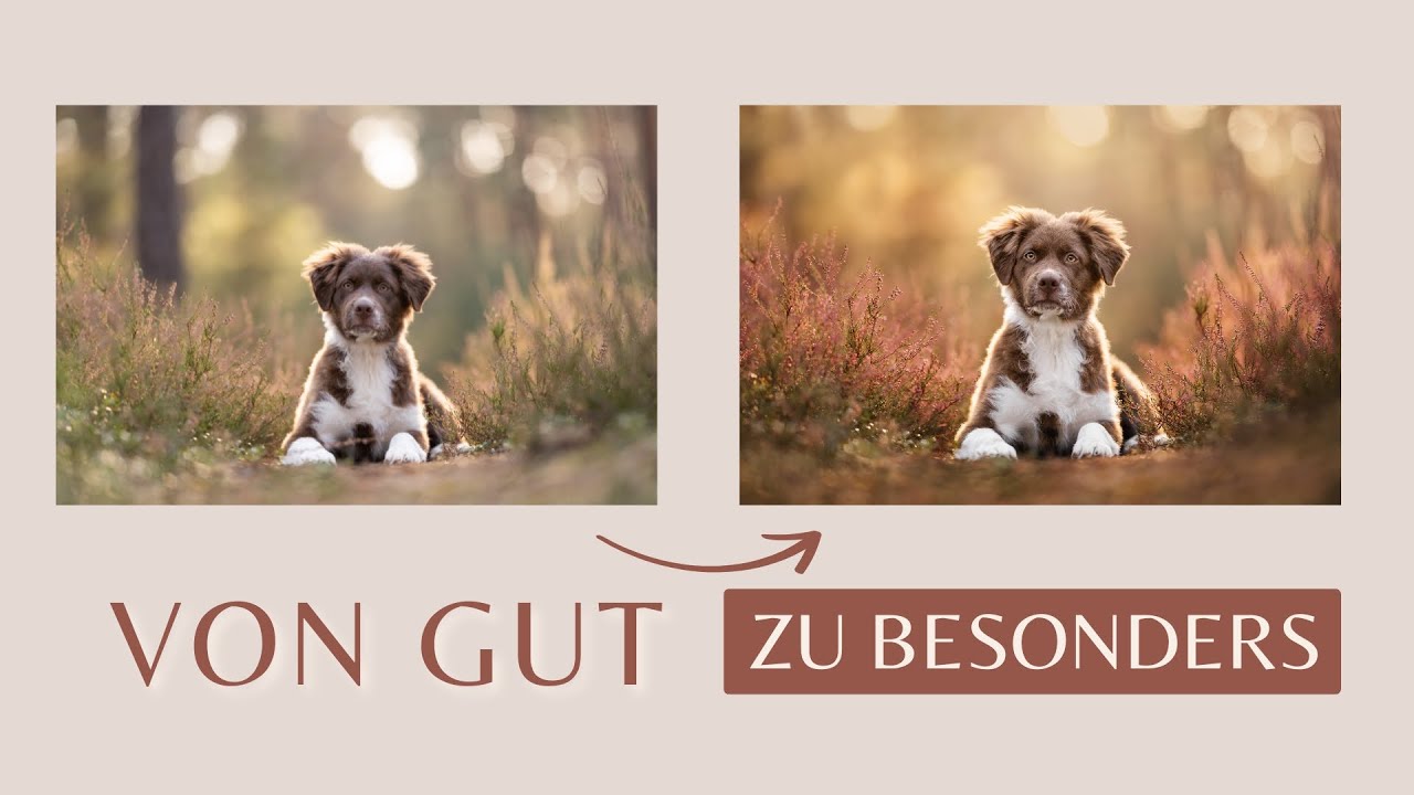 Das Geheimnis hinter der Bildbearbeitung von Fotograf:innen | Das ver&auml;ndert alles!