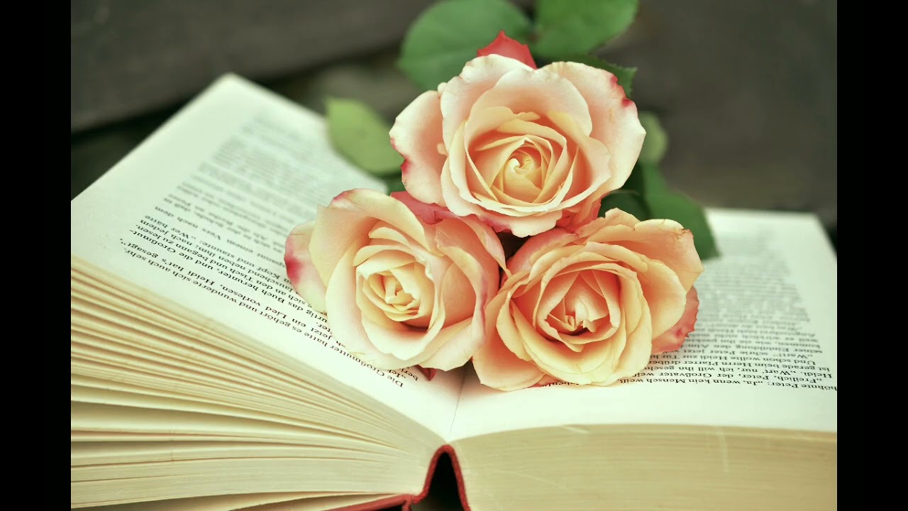 КІТАП туралы өте қызықты мәлімет.