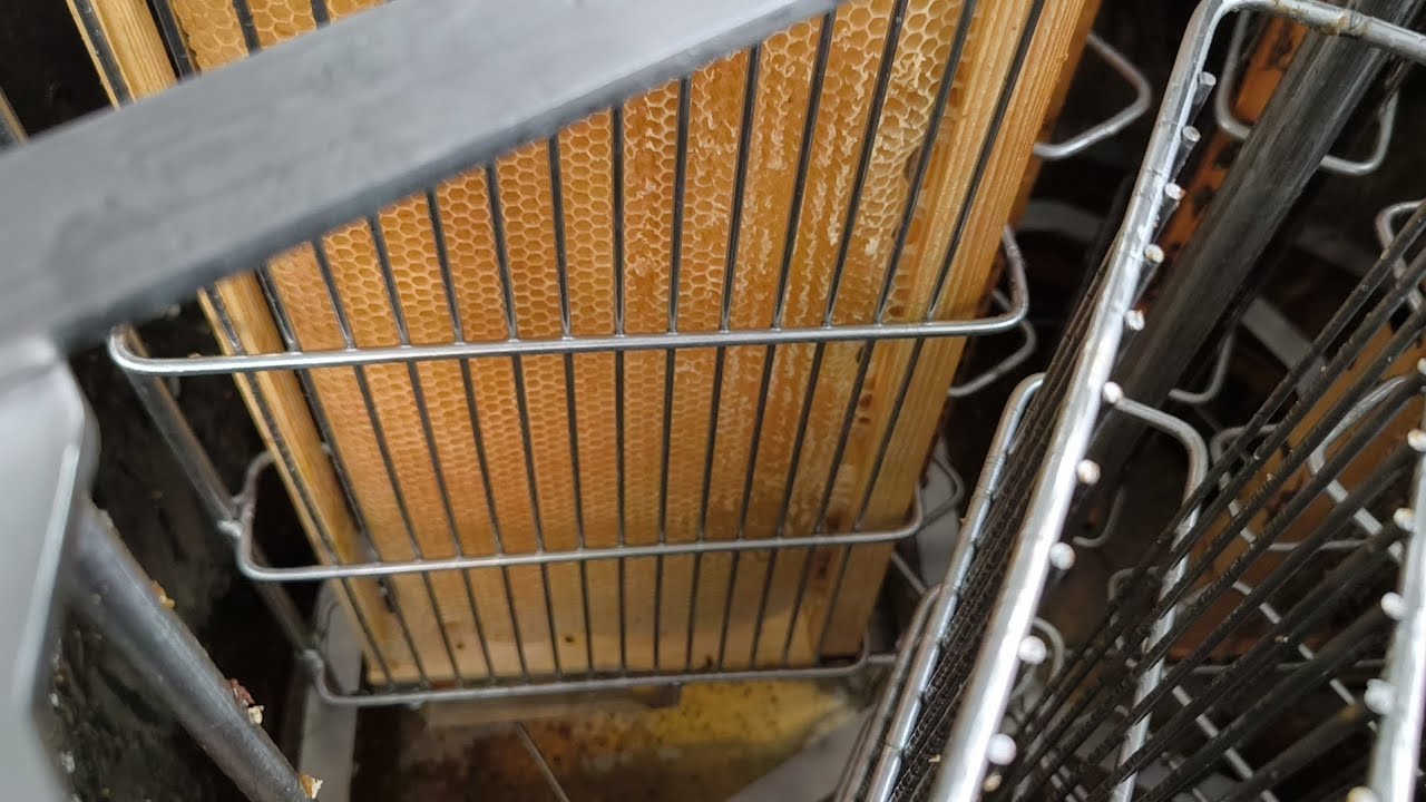 Ξεμελιασμα 🍊 & συμπεράσματά