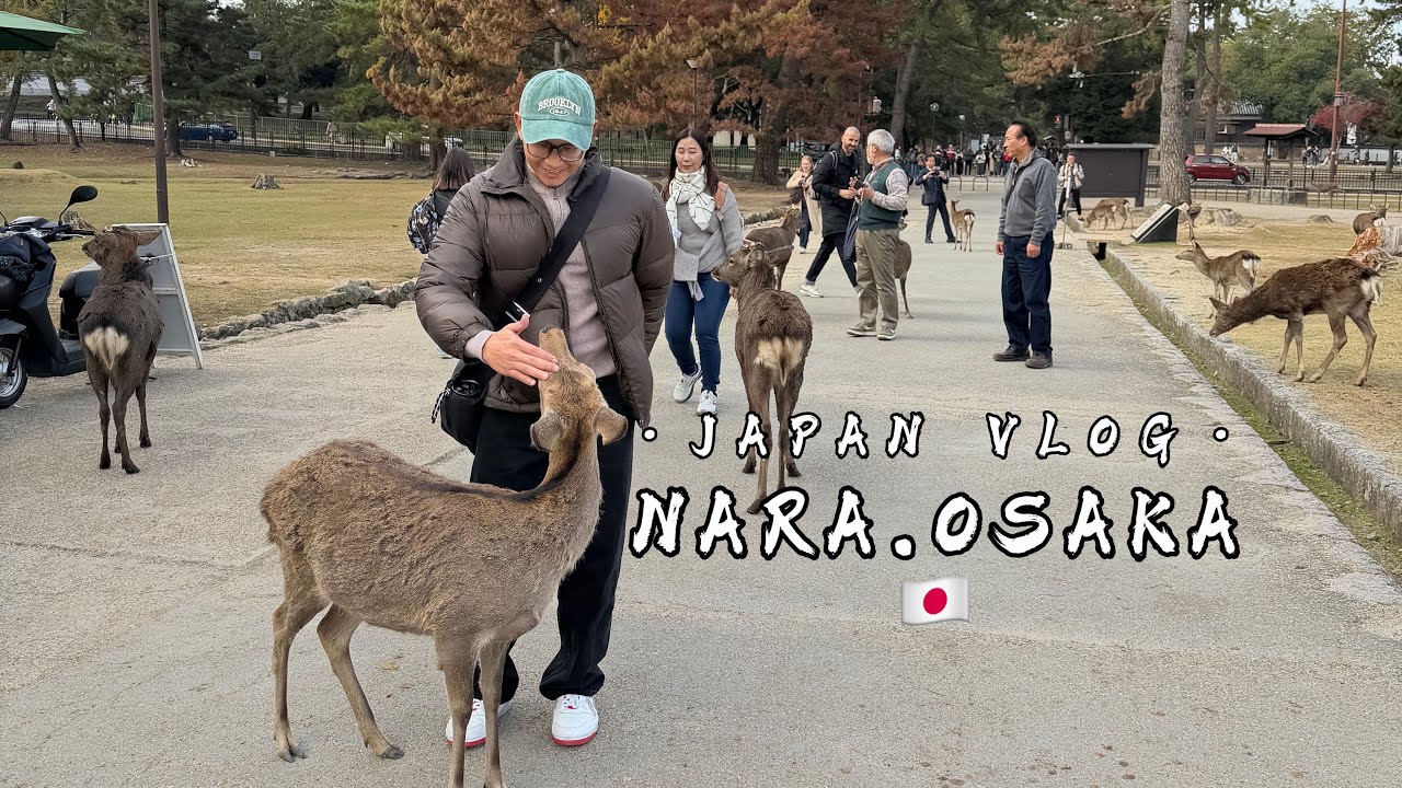 Japan Vlog Day 3 -NARA.OSAKA- Lastday di Osaka sebelum ke Tokyo hari berikut.
