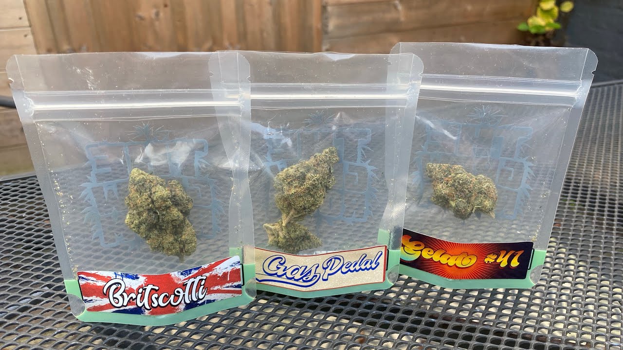 The Growroom Packs!! (Britscotti, Gas Pedal, Gelato 41) (UK)