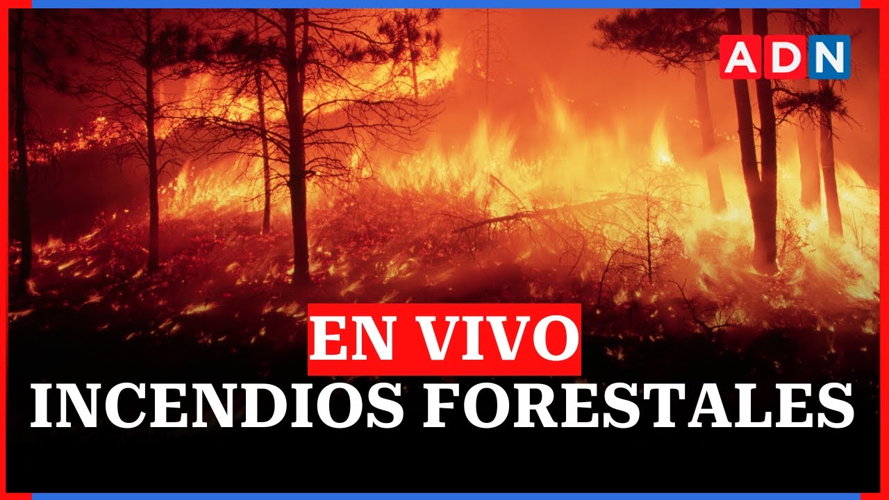🔴 Incendios forestales en Chile EN VIVO: fallecidos y últimas noticias de Ñuble y Biobío