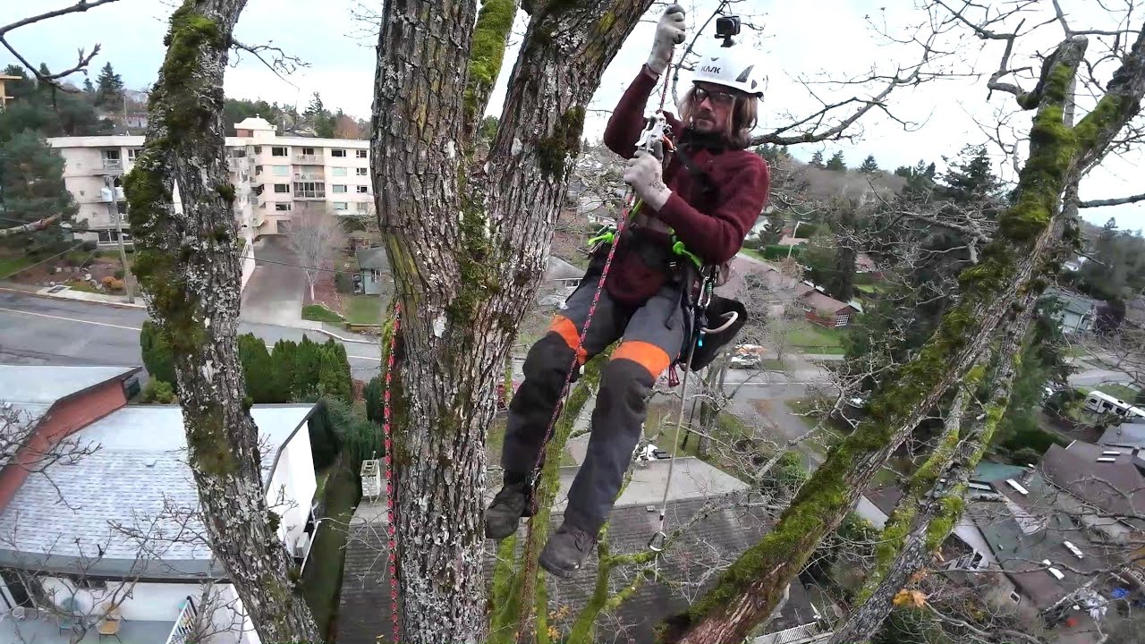 R C Grapple hook part 2. Tree Climbing made Easy