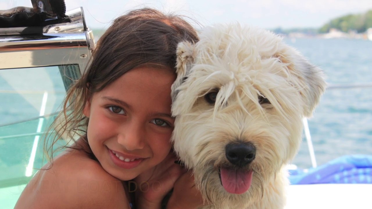 #50 Wheaten Terrier Maddison Maximus My Only Dog Ever