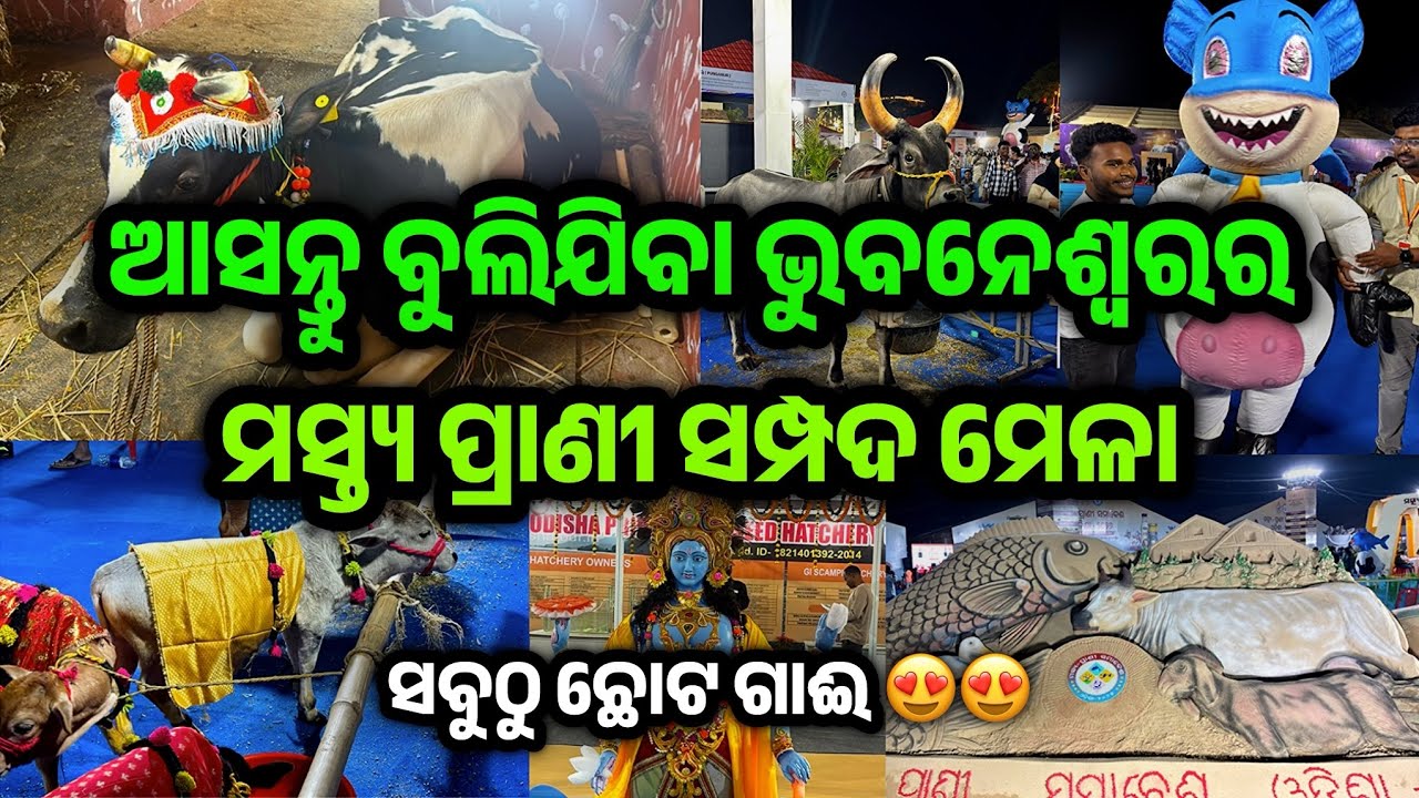 Bhubaneswar Fisheries and Animal Husbandry Fair 2026 | ମତ୍ସ୍ୟ ପ୍ରାଣୀ ସମ୍ପଦ ମେଳା ୨୦୨୬ | #odiavlog 