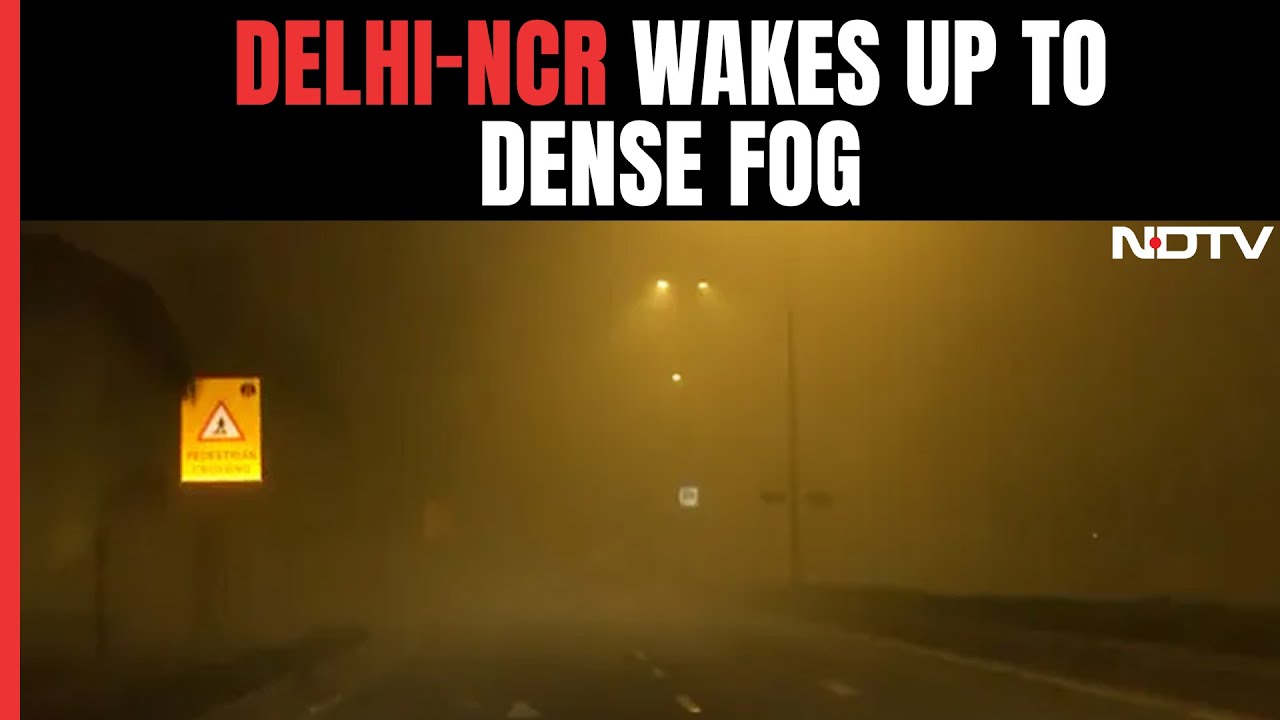 Dense Fog Causes Travel Chaos In Delhi, 100 Flights Delayed, Some Diverted