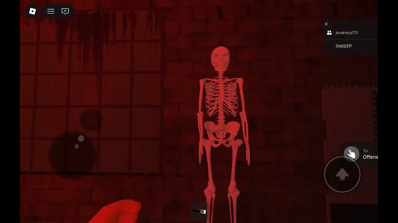 Ich und mein Freund haben ein Horror spiel gespielt was nicht horror war