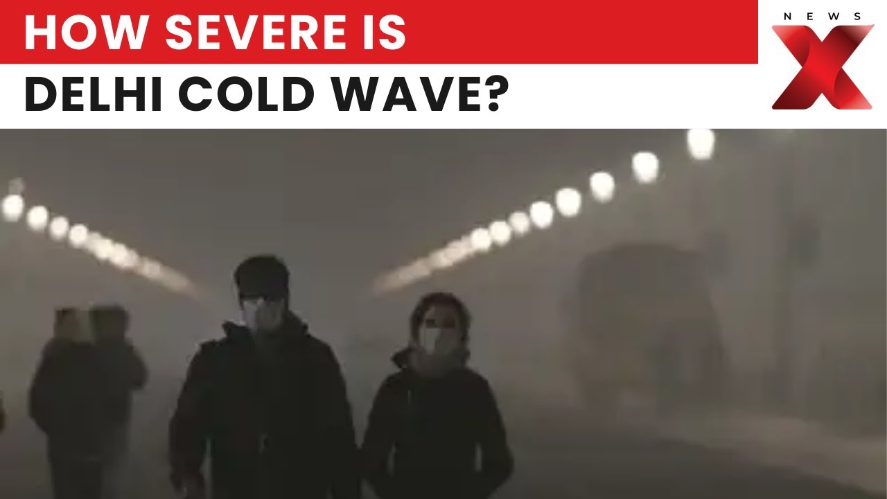 How Severe Is the Cold Wave and Dense Fog Affecting Delhi Commuters?