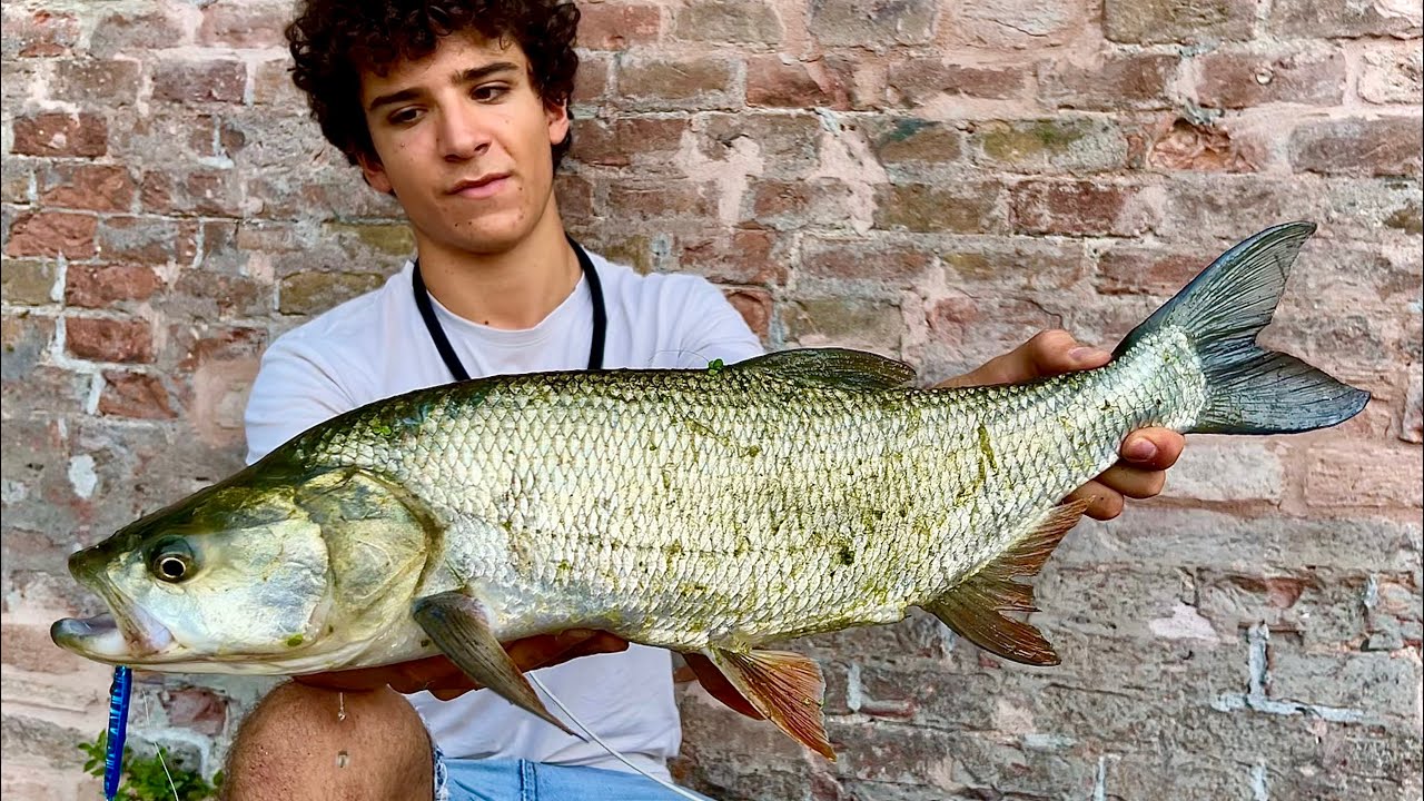 SPINNING CITTADINO agli ASPI e altri PREDATORI a MANTOVA