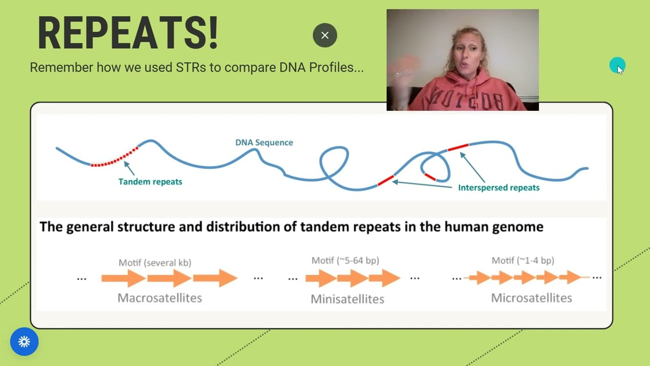 Evolution of Genomes
