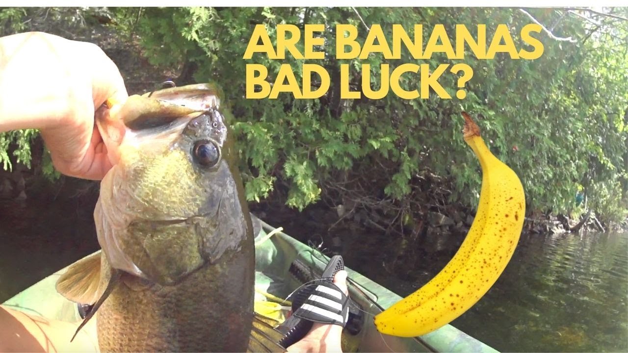 Are BANANAS Actually BAD LUCK on a BOAT | Ben's Tackle Talk