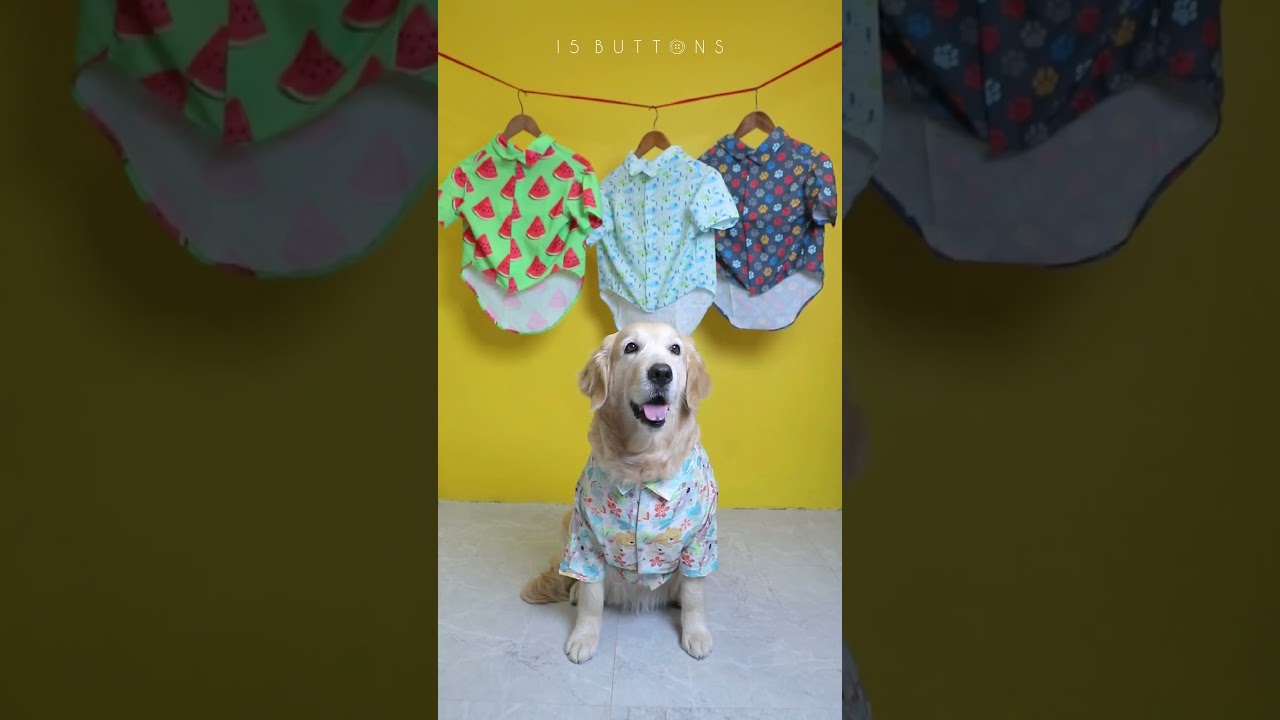 Best Dog Shirt for your Pawsome Friend - 15 Buttons