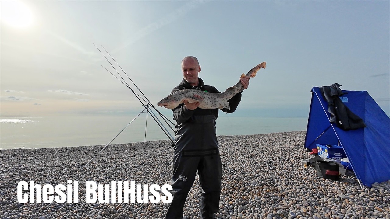 Chesil Bullhuss