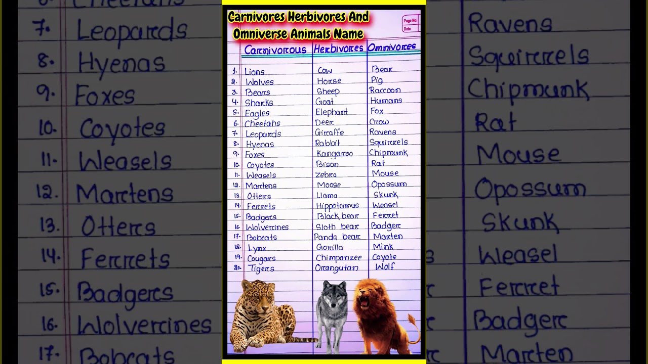 Carnivores Herbivores And Omniverse Animals Name in English l #carnivoresanimalsnames