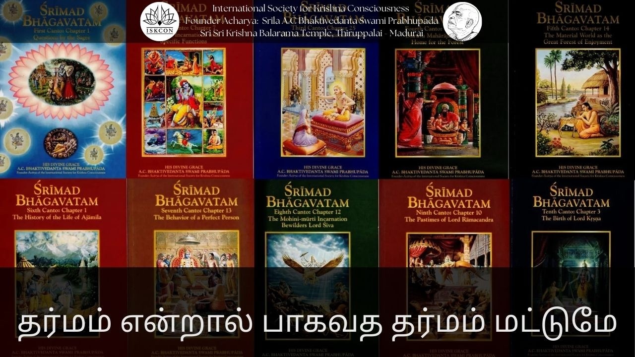 தர்மம் என்றால் பாகவத தர்மம் மட்டுமே  || 16-02-26 #srilaprabhupada​ #shorts​ #iskconthiruppalai​