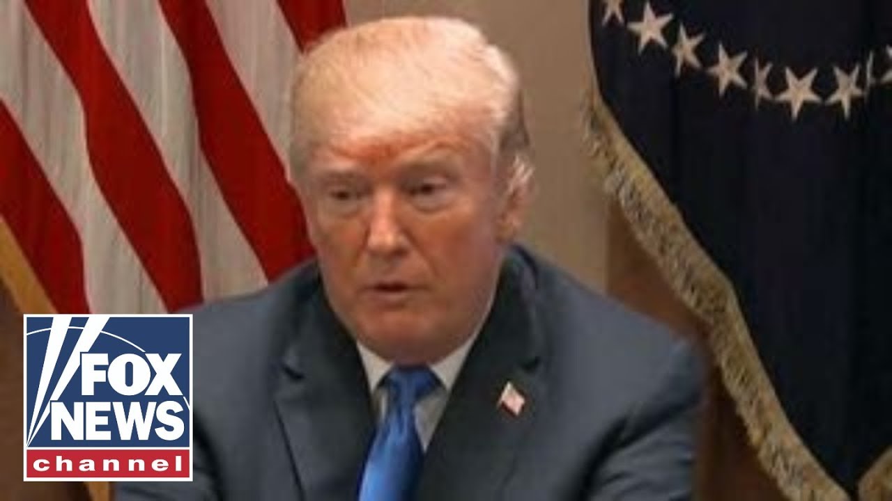 Trump talks gun control with bipartisan group of lawmakers