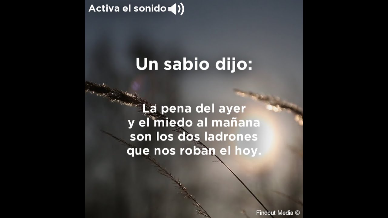 Un sabio dijo