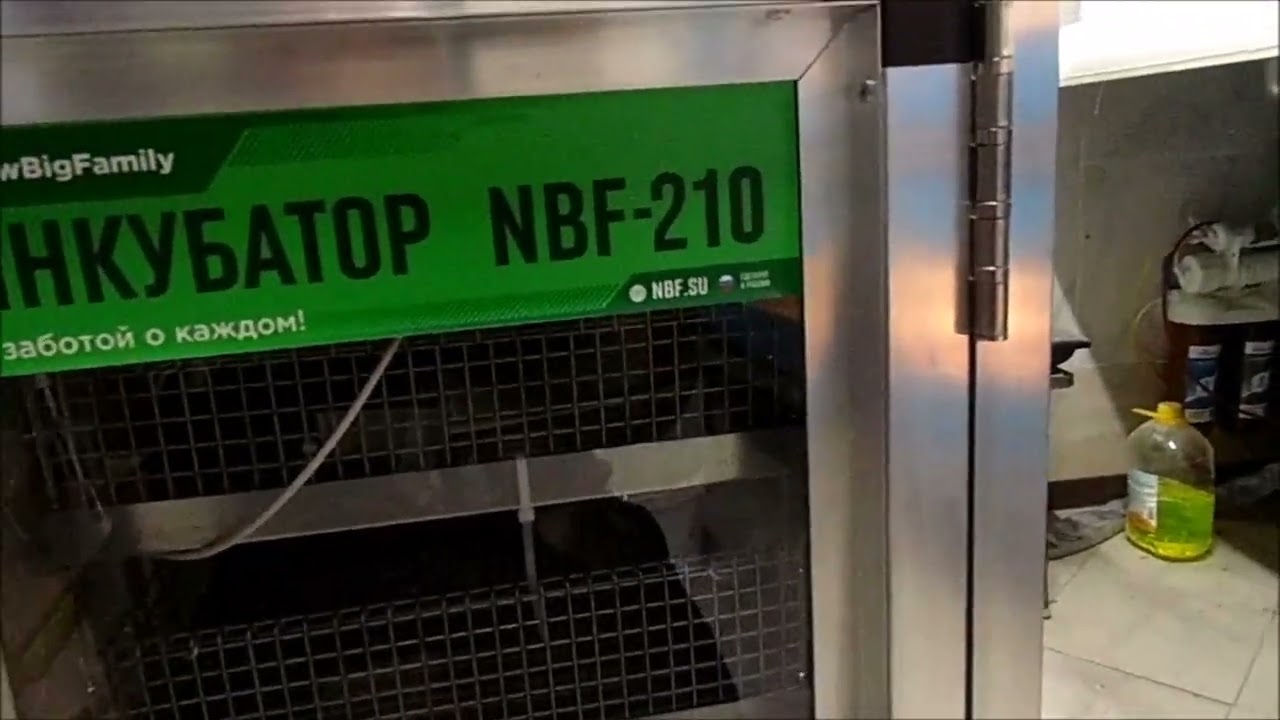 Пришёл инкубатор NBF 210