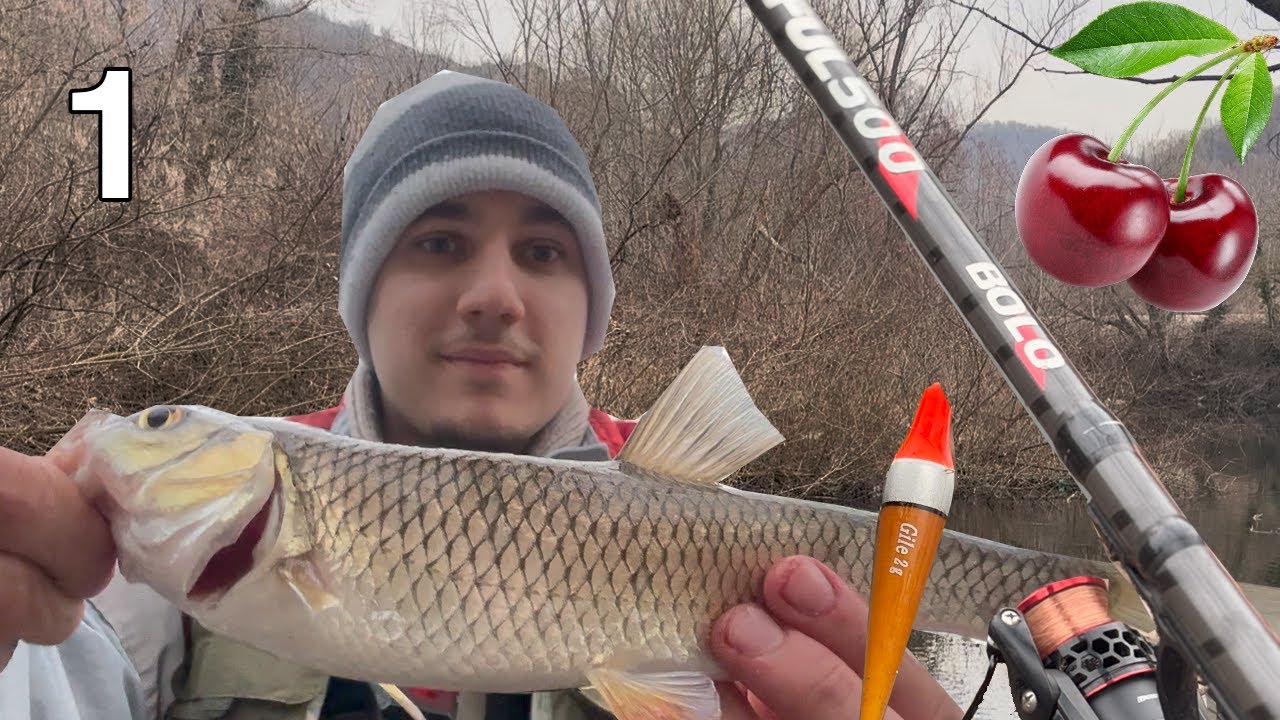 KLEN NA VIŠNJU?! Zimsko pecanje klena na PLOVAK