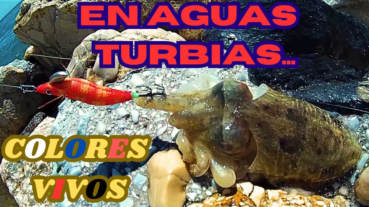 EN AGUA TURBIA COLORES VIVOS!! SEPIAS en PRIMAVERA