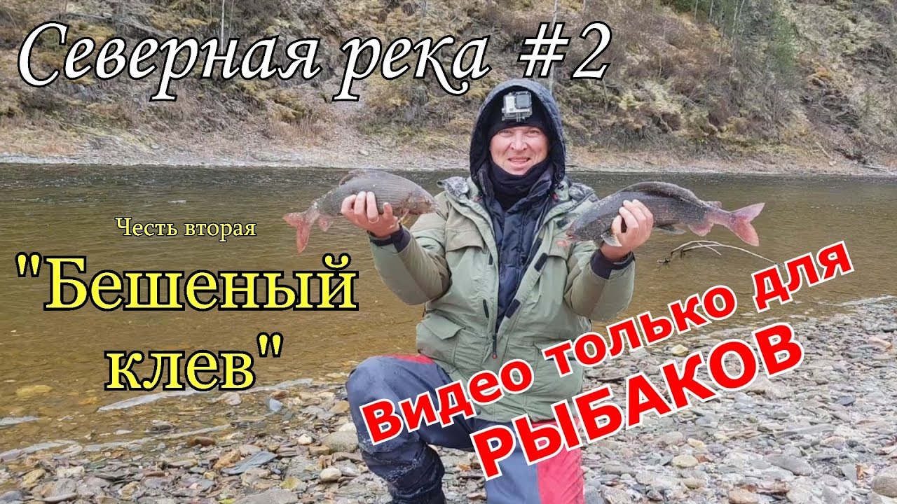 Бешеный клев крупного хариуса/Завистливым не смотреть/Труднодоступная северная река #2