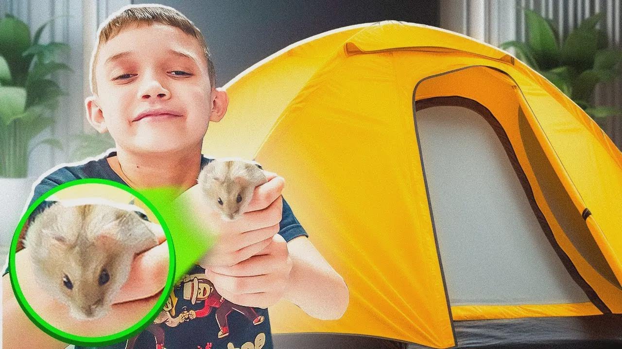 Wir bauen ein Zelt im Wohnzimmer auf – plötzlich wird’s zum Kino!