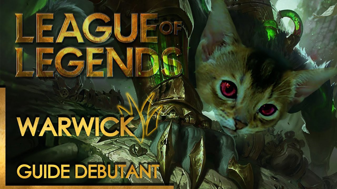 Coaching WARWICK JUNGLE - Partie pédagogique débutant