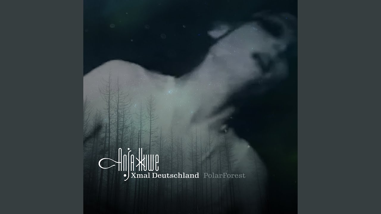 PolarForest
