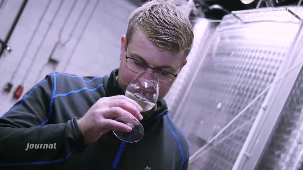 Wie entsteht Sekt