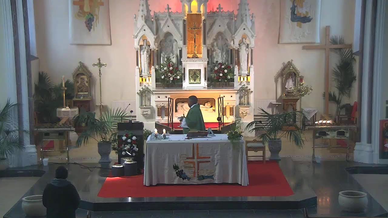 Elphin