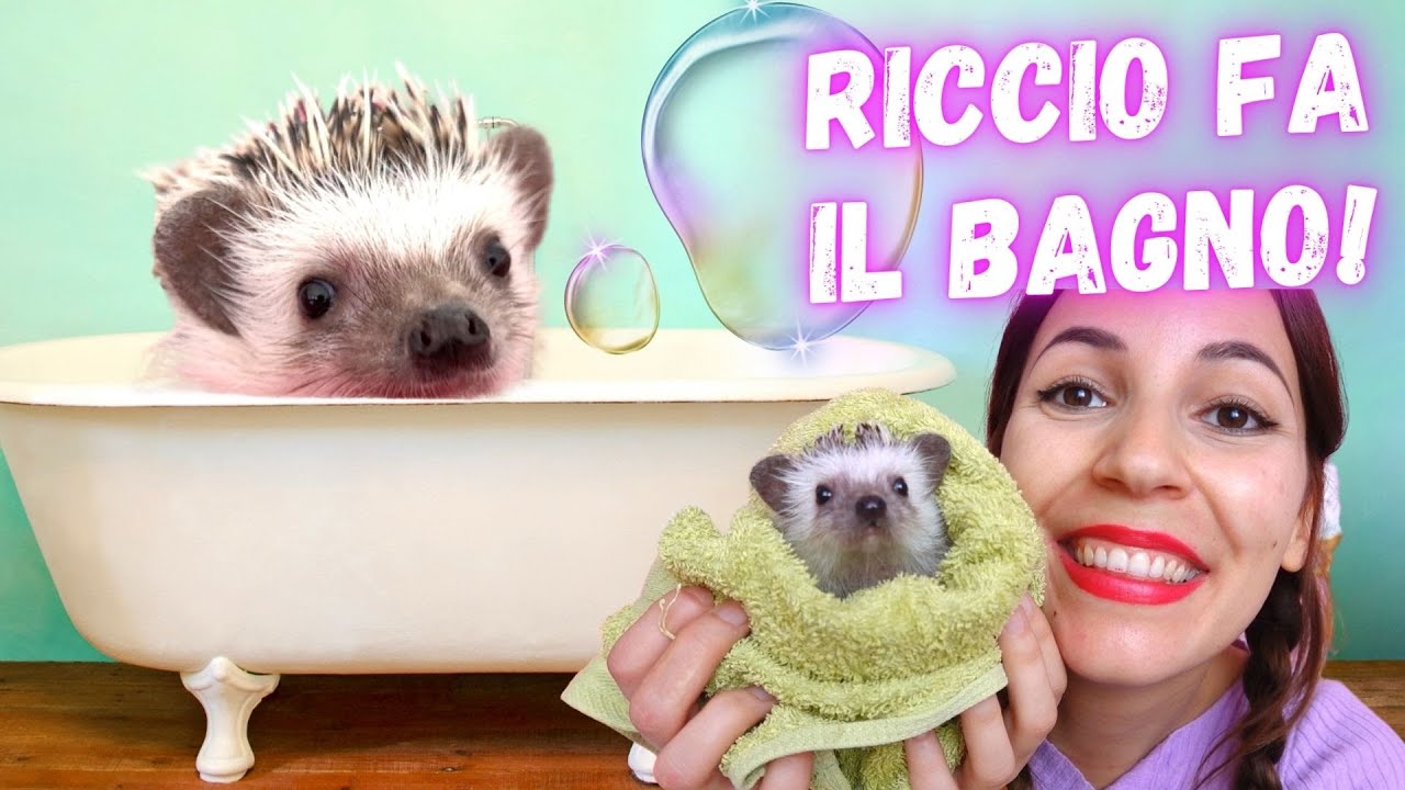 FACCIO IL BAGNETTO A RICCIO! *il primo bagno di spooky!*