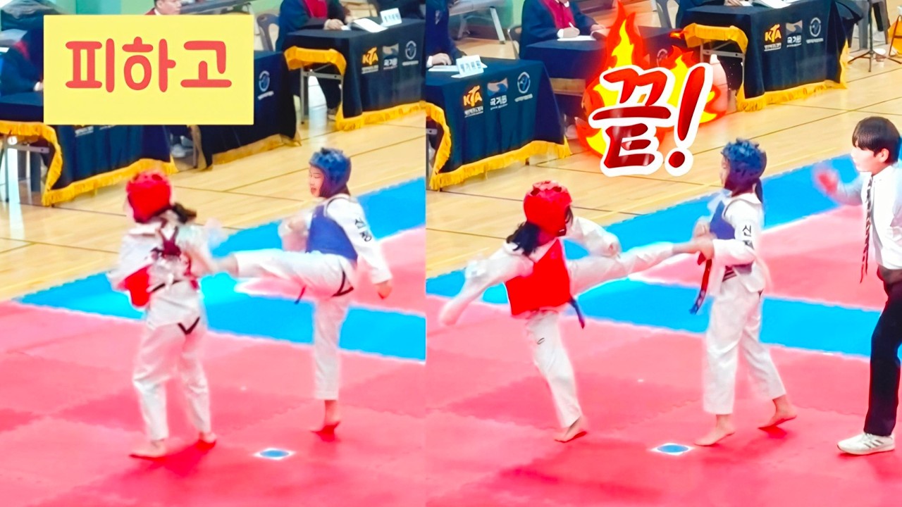 태권도 2품 심사🥋 2년동안 고생 많았어 👍