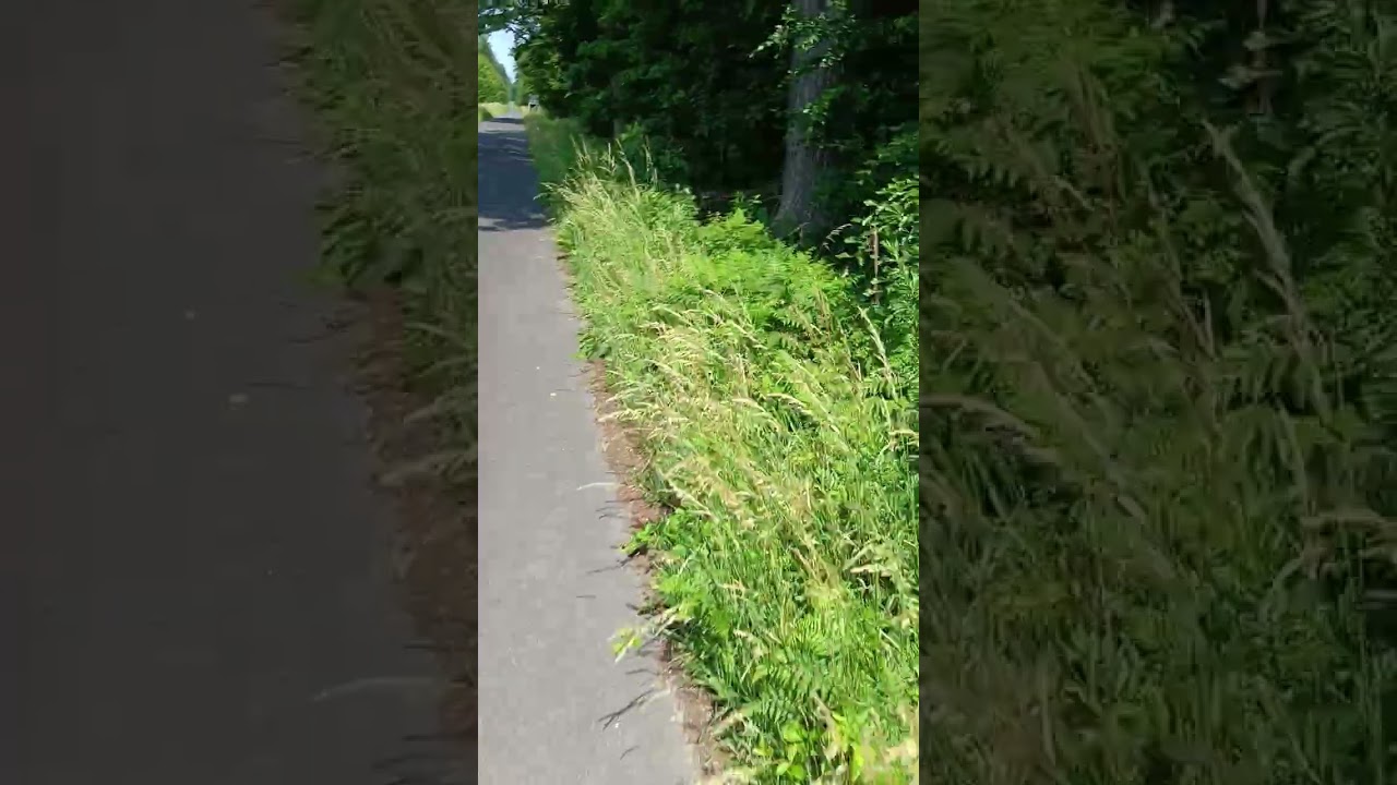 Bieg LUPUSA 10 km, Bartk&oacute;w k. Oleśnicy 