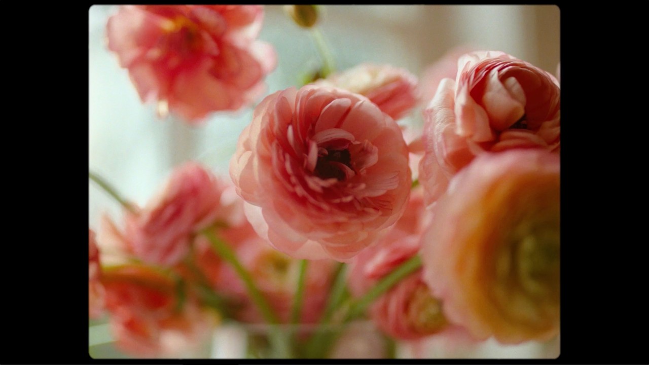 Every garden tells a story a the 2026 Philadelphia Flower Show | February 28 - March 8, 2026