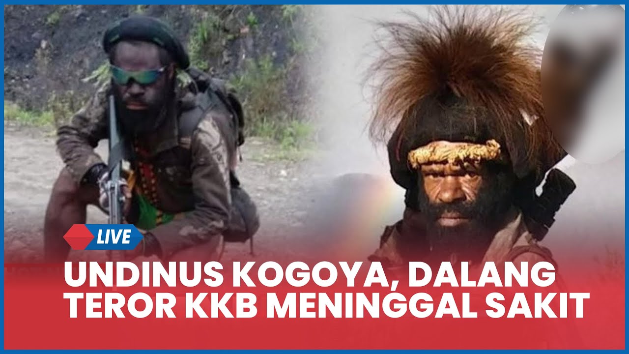 🔴 PANGLIMA PERANG OPM Terpojok di Pelarian, Terkepung Operasi Militer, Dalang Teror KKB Meninggal