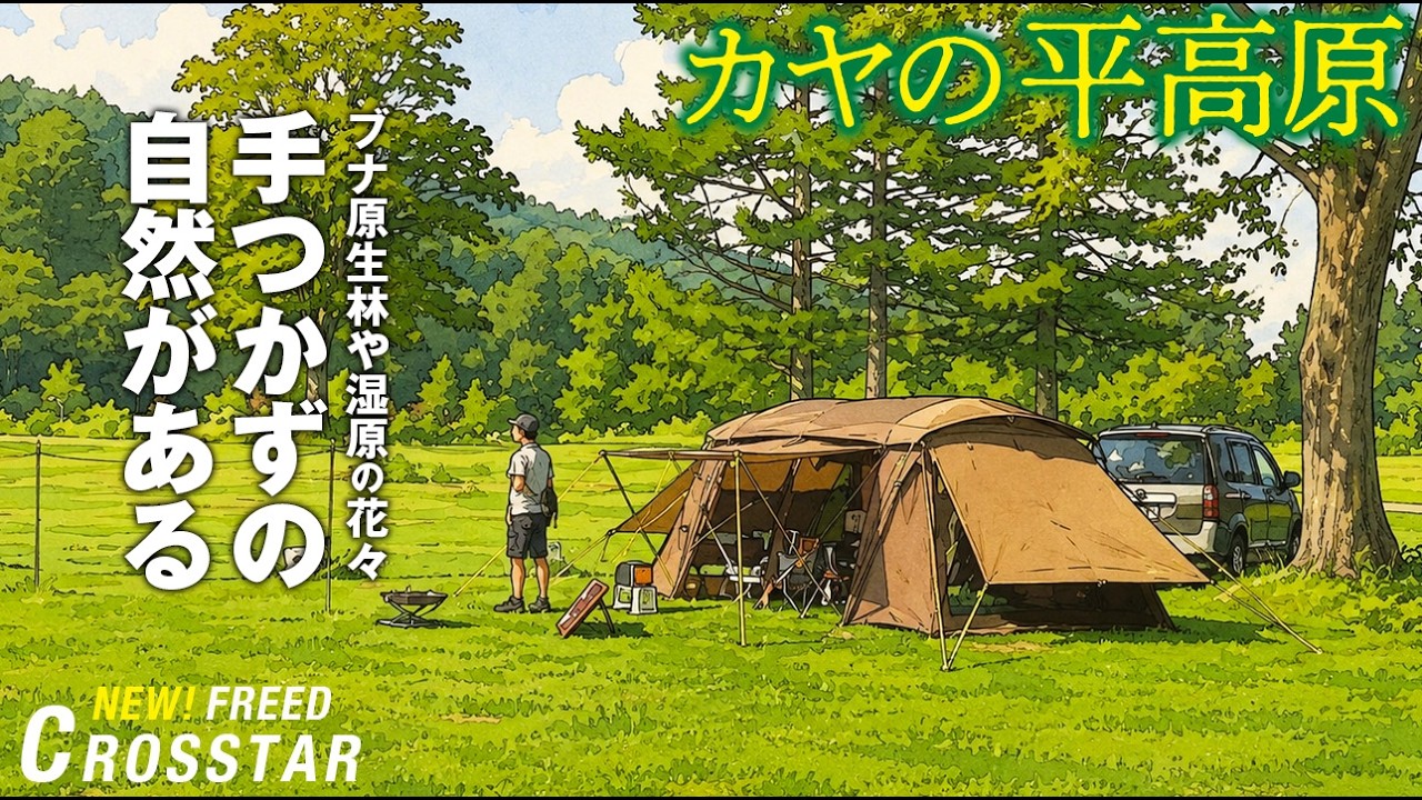 【シニアの新型フリード・クロスターライフ】カヤの平高原キャンプ場