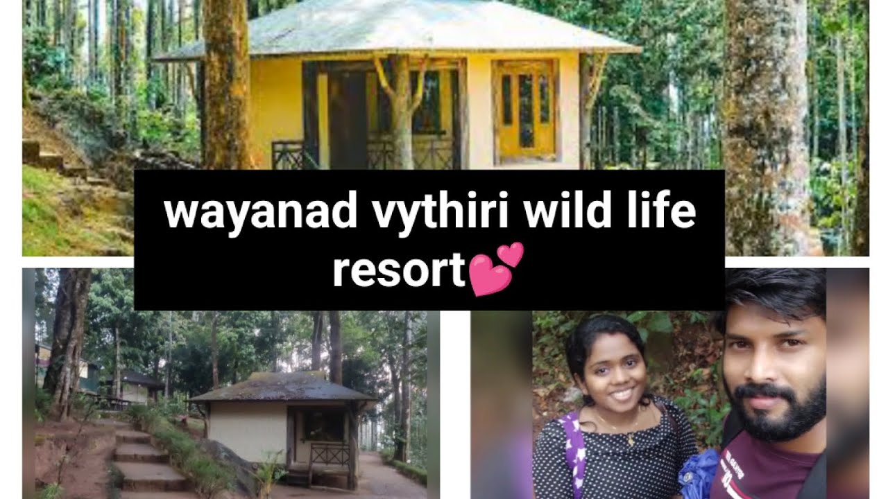 wayanad vythiri wild forest resort🔥#wayanad #resorts #wayanadresorts #wayanadresort #vythiri
