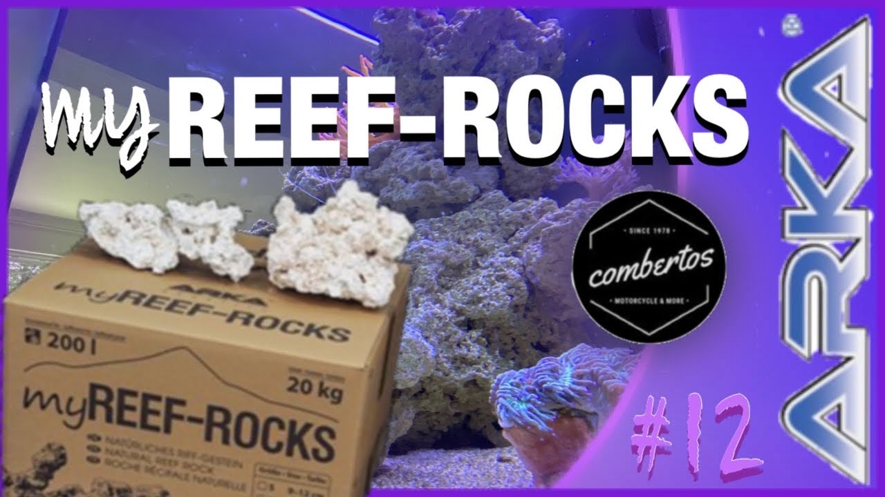 Lido200 MWA #12 | myREEF-ROCKS von ARKA |