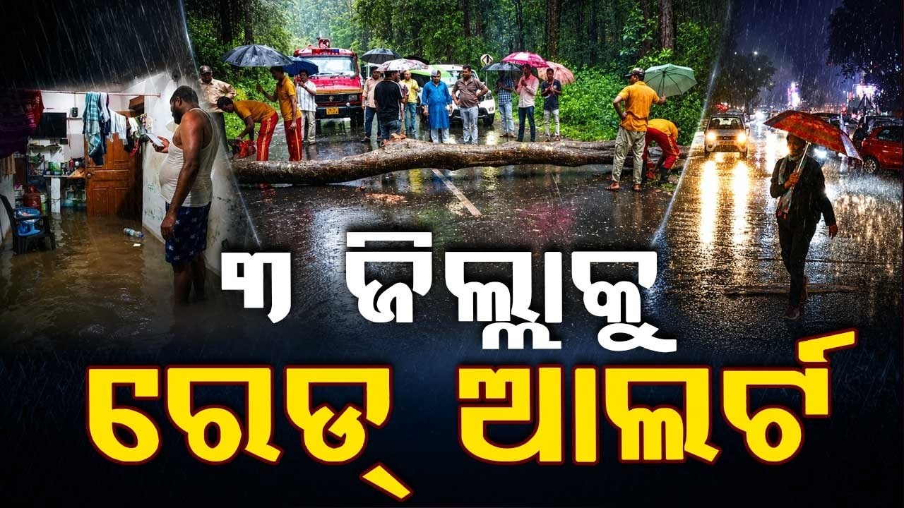🔴Live | ଆସିଲା ବଡ଼ ବର୍ଷା ଖବର| Odisha Weather Update | Rain Update | Odisha Monsoon | Argus News