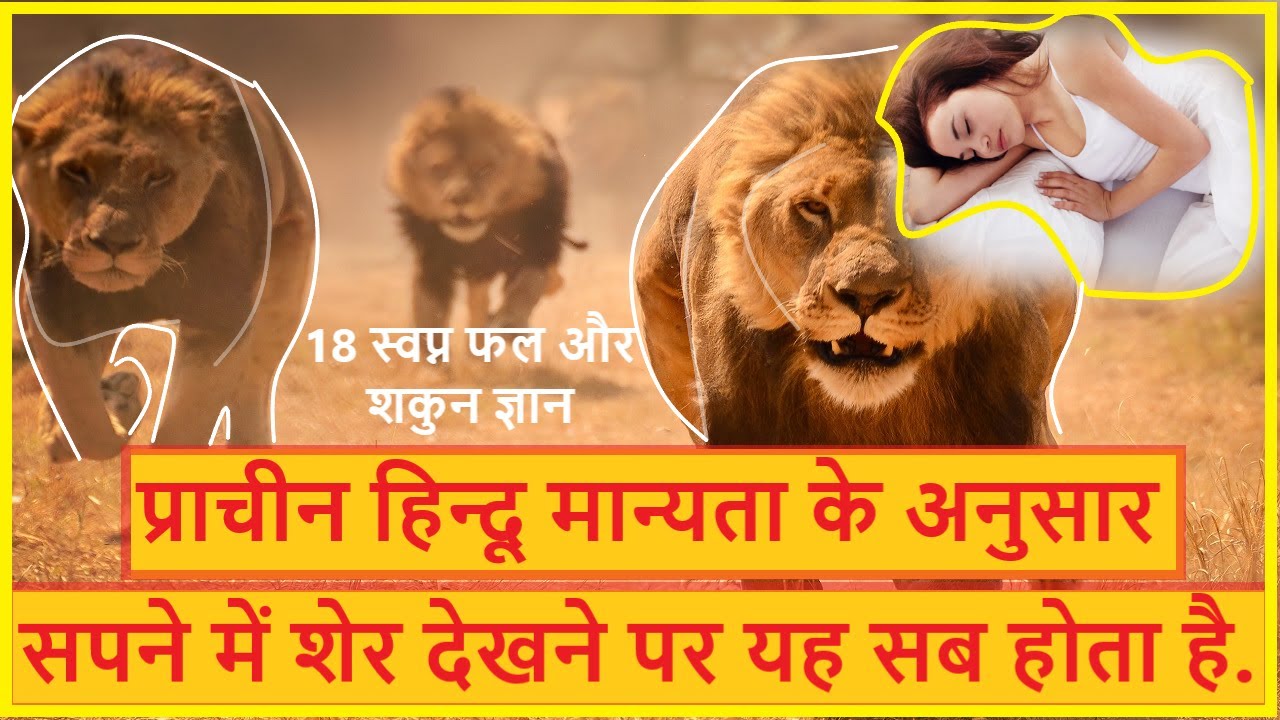 सच! सपने में शेर देखना डरना, लड़ना, मारना, झुण्ड शेरनी देखने का मतलब आदि Lion in dreams