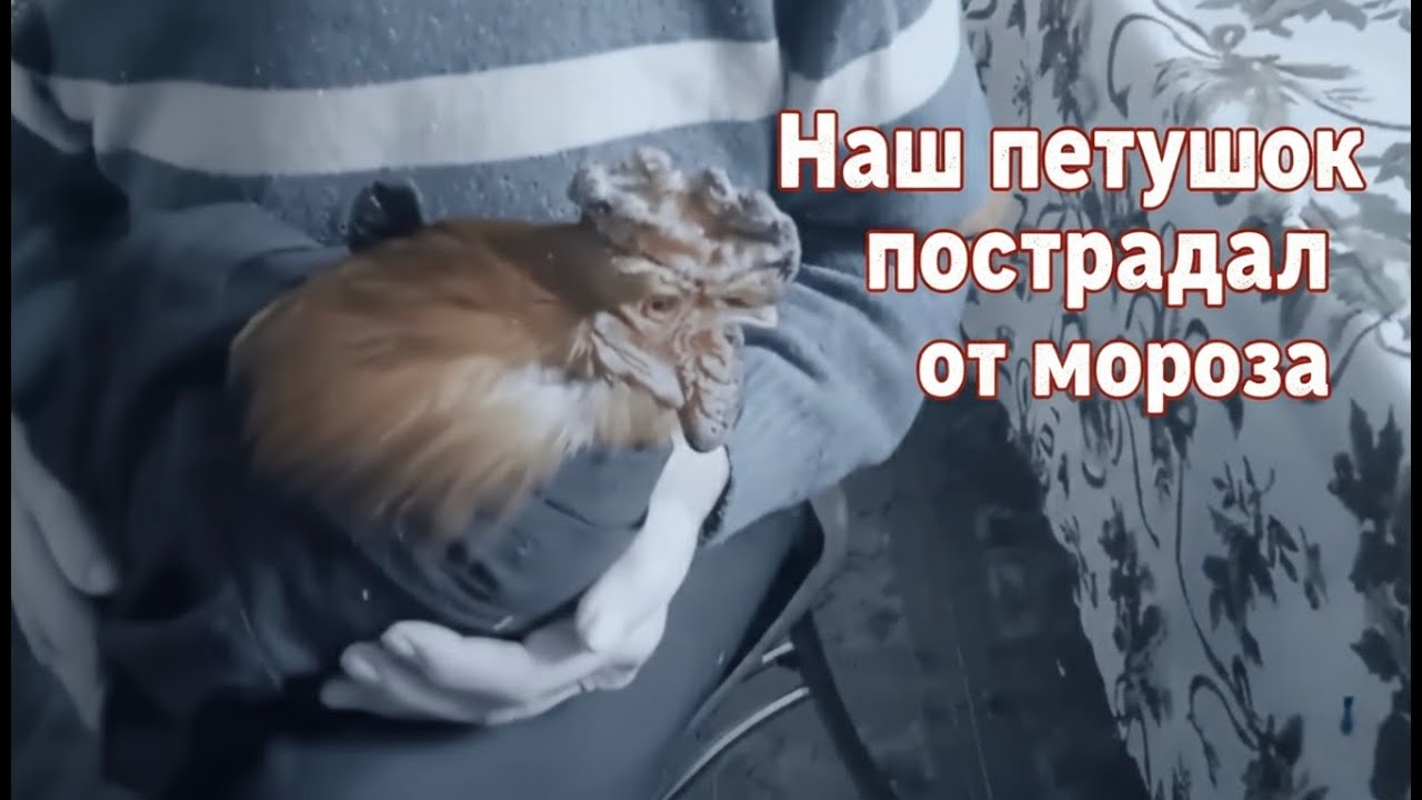 ЧП Минус 30 в деревне