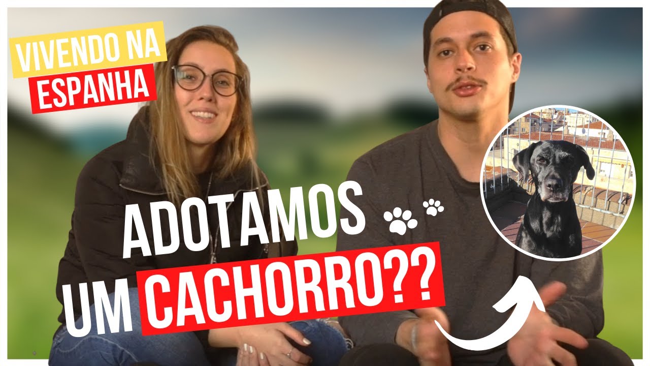 Vivendo Na Espanha - Adotamos um cachorro??