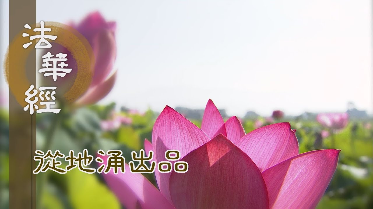 【靜思妙蓮華】法華經從地涌出品 - 彌勒能問 佛之大事 - 20230818 第1483集